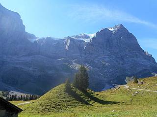 Alpentour 2015 0473 Wetterhorn